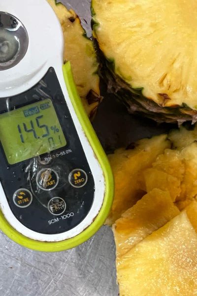 Servicio – servicio de surecontrols – fruits Servicio - servicio de surecontrols - fruits