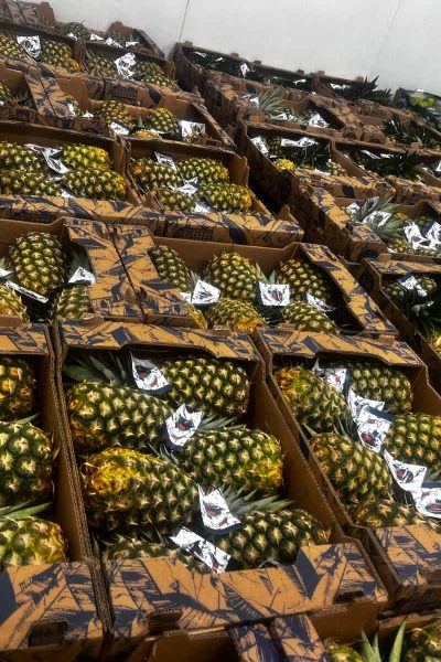 home - por que somos los mejores