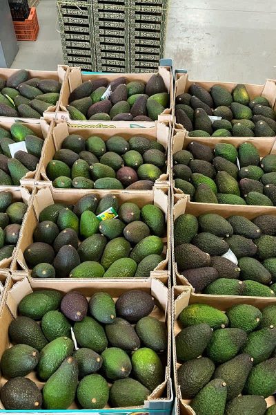 home - sobre nosotros