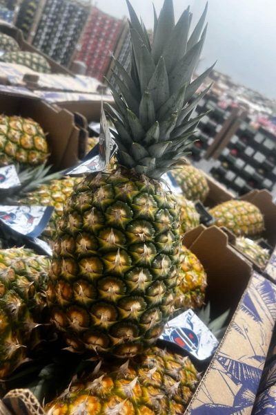 servicios - por que nuestros servicios son los mejores